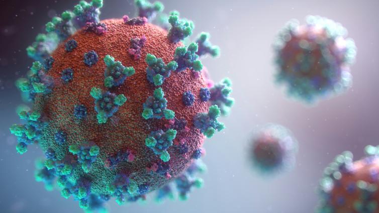 STI virus